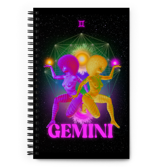 Gemini notebook